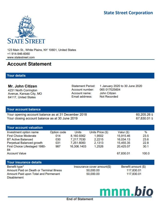 USA State Bank Of India wyciąg bankowy słowo i szablon PDF, 3 strony
